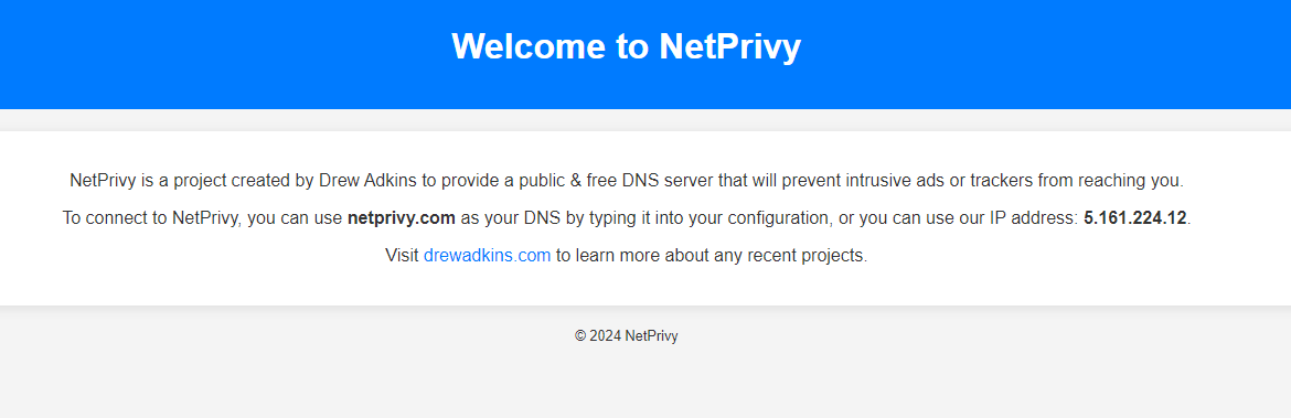 My Fun Journey in Creating NetPrivy.com: A Privacy-First DNS Server!